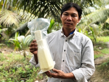 Trai Bến Tre cầm chắc cả chục triệu mỗi tháng nhờ bán “tim” cây dừa
